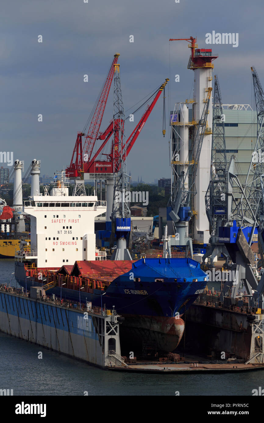 Cantiere navale Damen, Rotterdam, Paesi Bassi, Europa Foto Stock