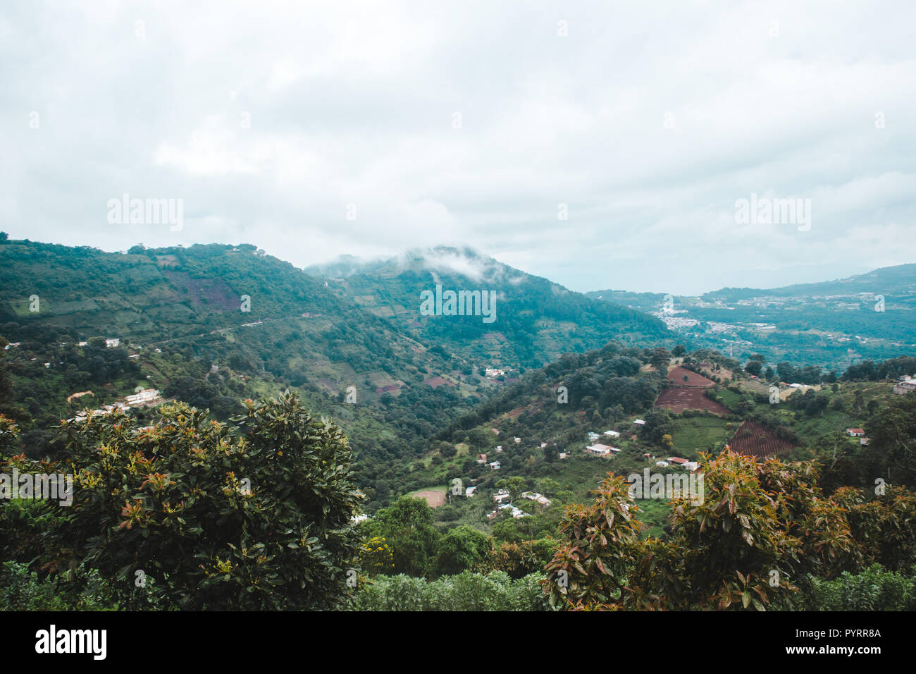 Guatemala campagna appena fuori Antigua Guatemala - verde delle colline di terreni agricoli in America centrale Foto Stock