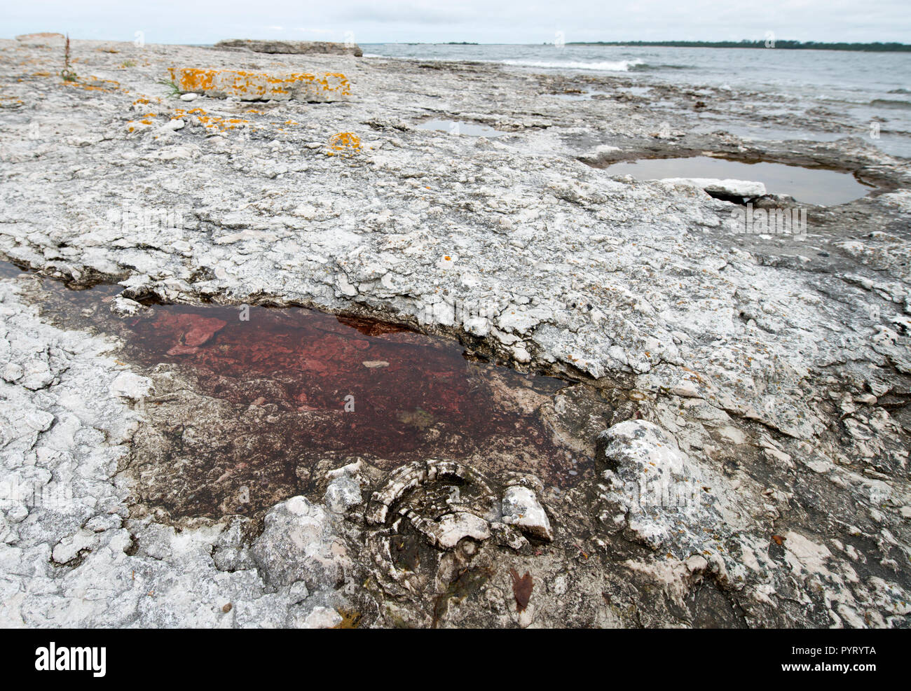 Arte (natura) in Svezia Foto Stock