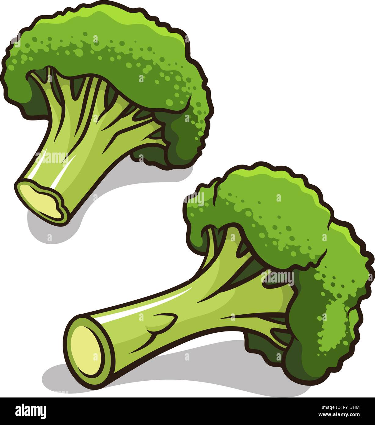 Illustrazione Vettoriale di broccoli isolato su bianco Illustrazione Vettoriale