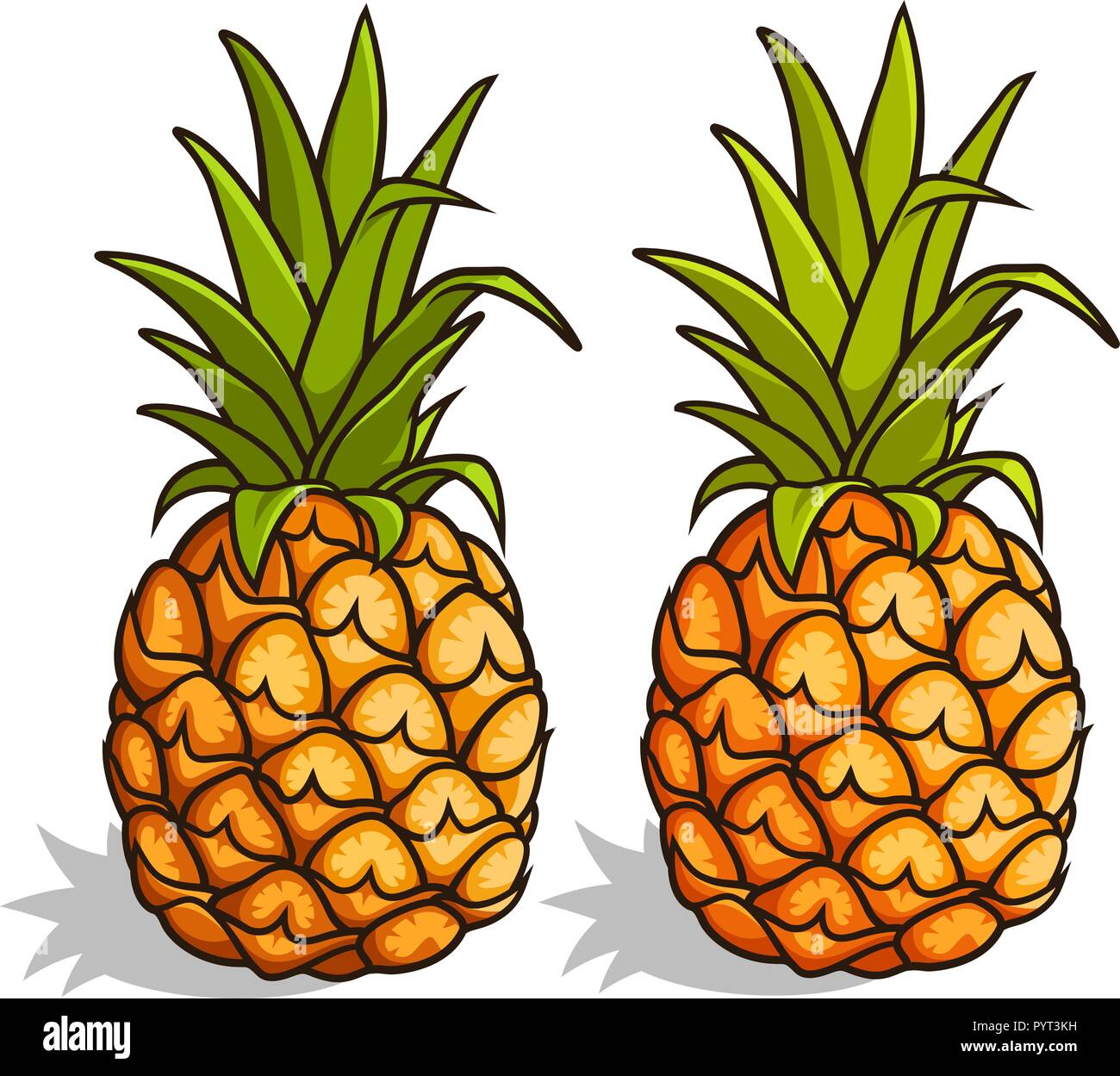 Illustrazione Vettoriale di ananassi isolato su bianco Illustrazione Vettoriale