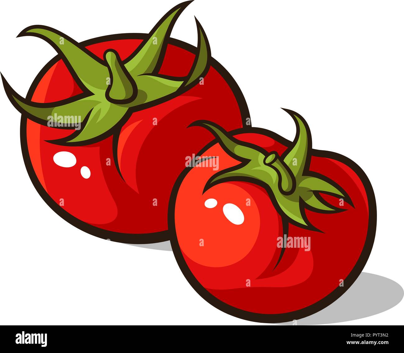 Illustrazione Vettoriale di pomodori maturi isolato su bianco Illustrazione Vettoriale
