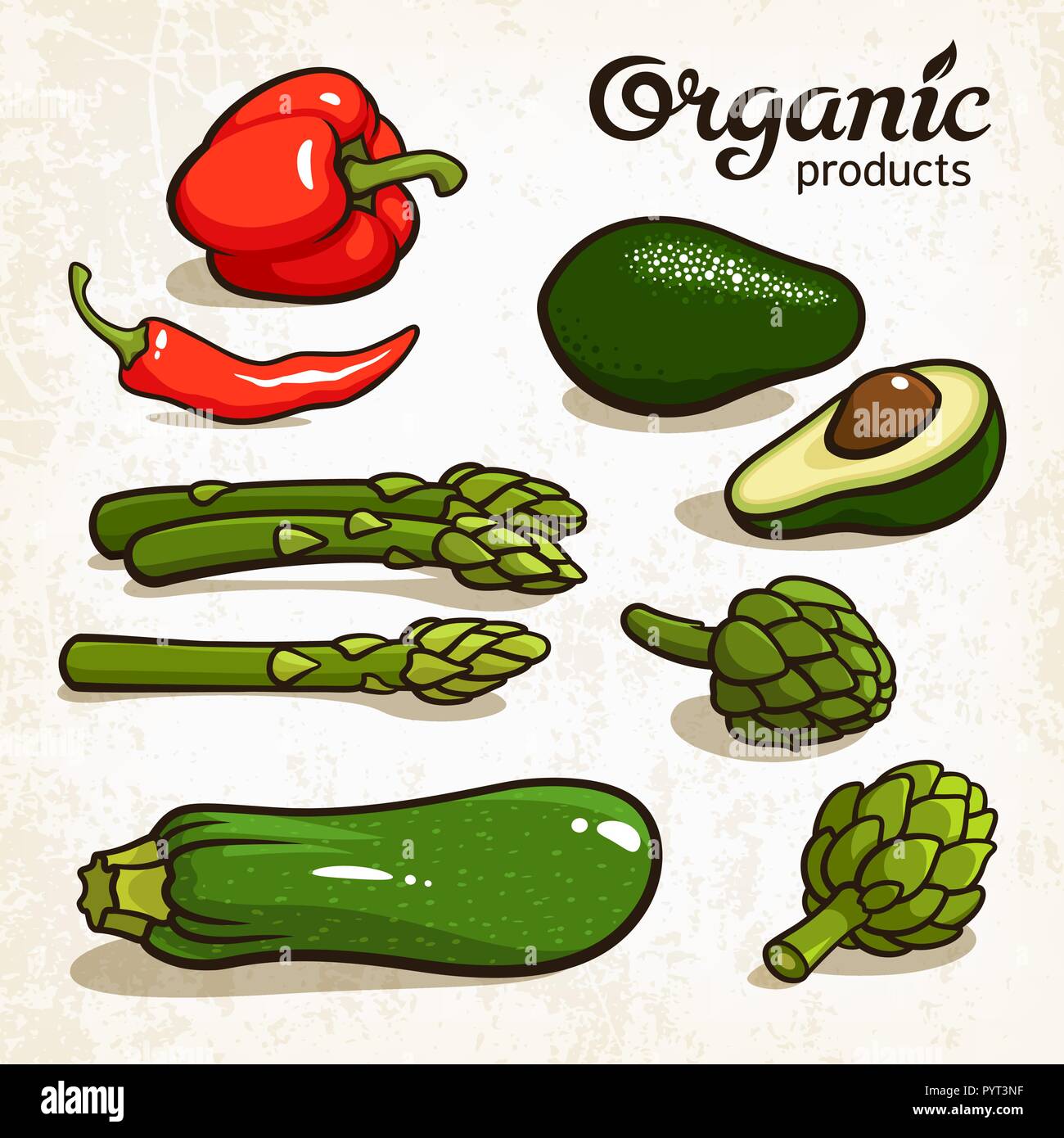 Illustrazione Vettoriale di ortaggi: avocado, peperoncino, pepe, asparagi, carciofi zucchine Illustrazione Vettoriale