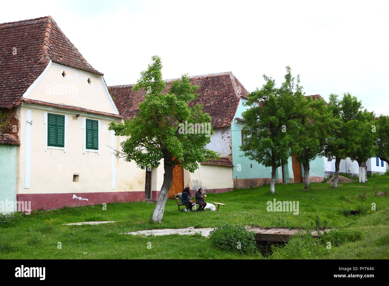 Stile tradizionale case nel villaggio sassone di Viscri in Transilvania, Romania Foto Stock