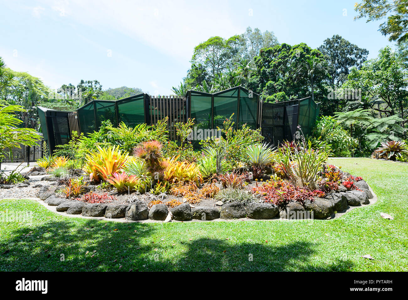 Le aiuole di fronte Watkins Munro Martin Conservatorio, Flecker giardini, Cairns Botanic Gardens, estremo Nord Queensland, FNQ, QLD, Australia Foto Stock