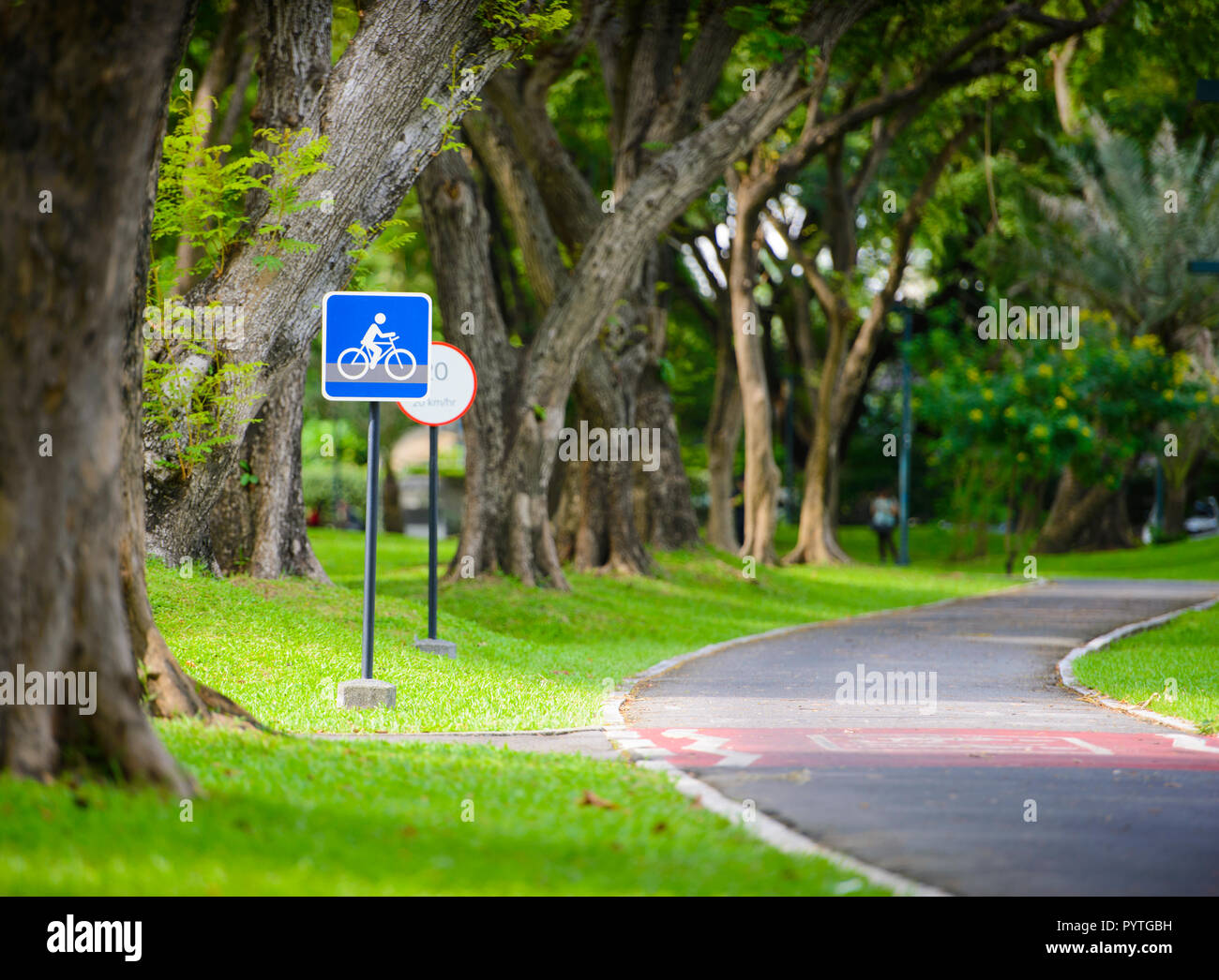 Pista ciclabile con segno nel parco Foto Stock