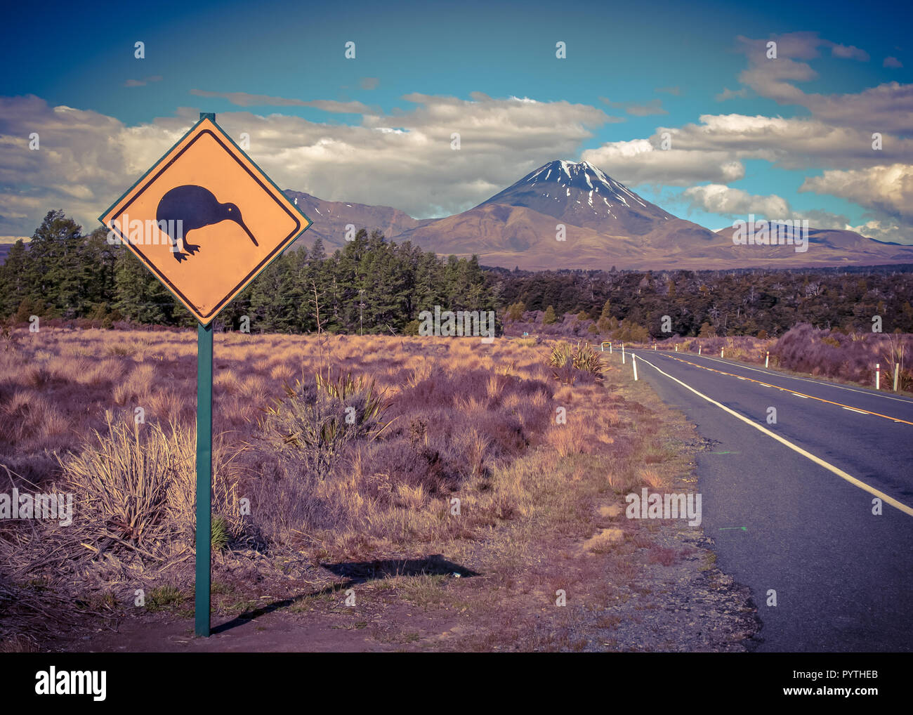 Kiwi cartello segnaletico con vulcano tongariro in background in Nuova Zelanda colore vintage tonificante Foto Stock