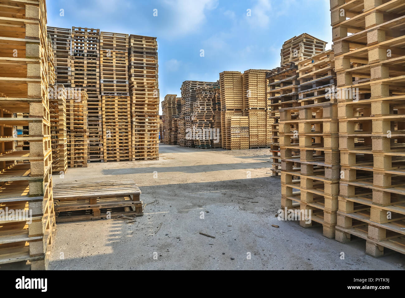 Pile di diverso tipo di pallet in un riciclo area business Foto Stock