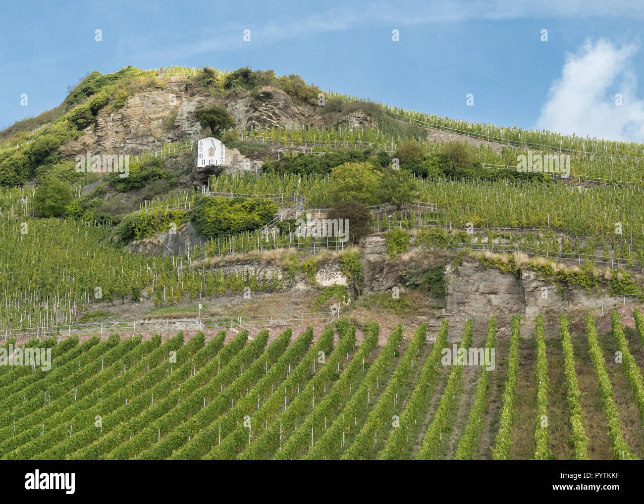 Wehlener Sonnenuhr riesling vigna - e la meridiana di Wehlen, valle della Mosella, Germania, Europa Foto Stock