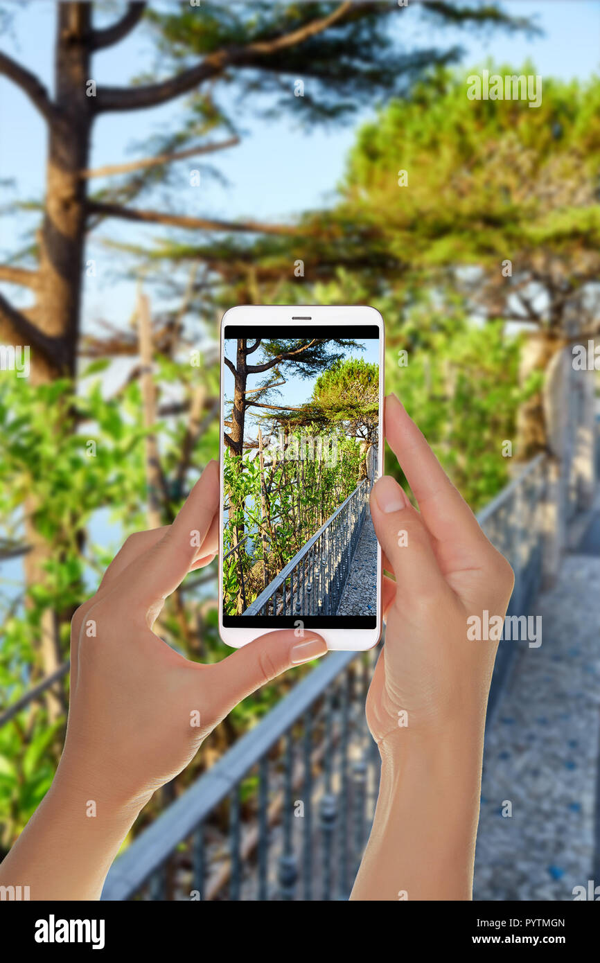 Un turista è scattare una foto del percorso in montagna con vigneti su un telefono cellulare Foto Stock