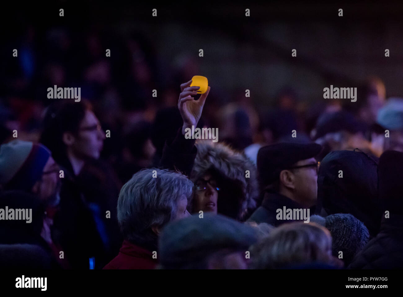 Toronto, Canada. 29 ottobre, 2018. Una singola candela è tenuto, come Toronto comunità ebraica detiene veglia per le vittime della Sinagoga di Pittsburgh massacro a Mel Lastman Square, Credito: Shawn Goldberg/Alamy Live News Foto Stock