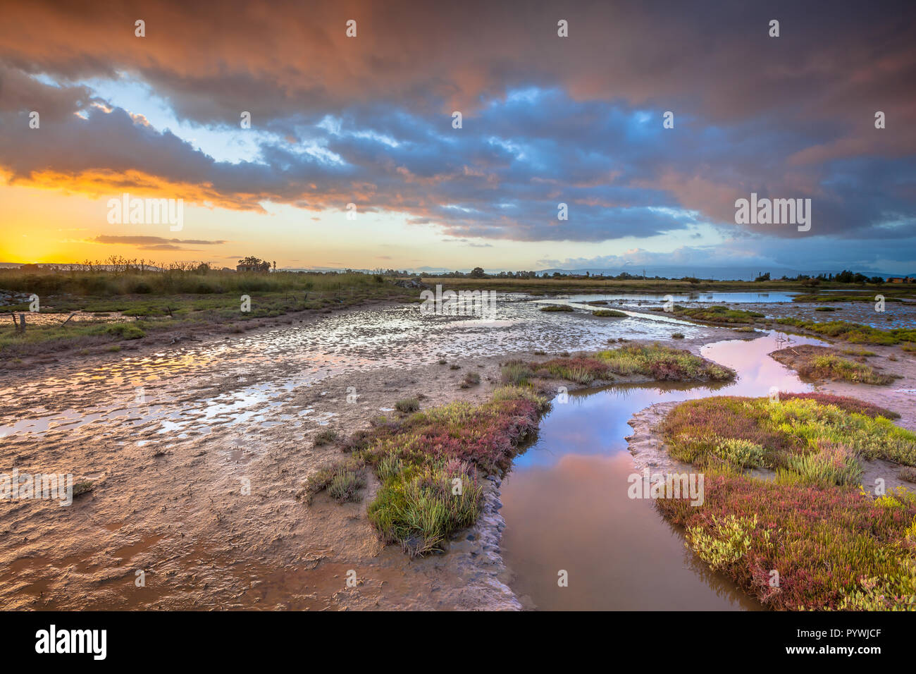 Sunrise oltre la tolleranza al sale di vegetazione palustre su un estuario vicino a SKALA KALLONIS su Lesbo Island, Grecia Foto Stock