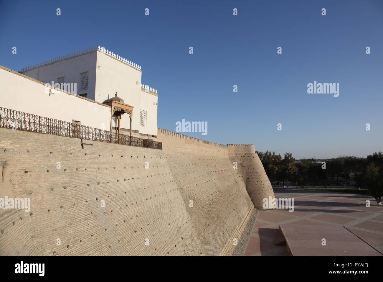 Fortezza Ark a Bukhara Foto Stock