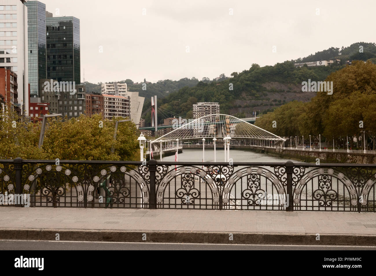 Città di Bilbao Paesi Baschi vista generale oltre il fiume di Bilbao verso il Ponte Zubizuri e il Puente de la Salve ponte (vicino al Guggenhe Foto Stock