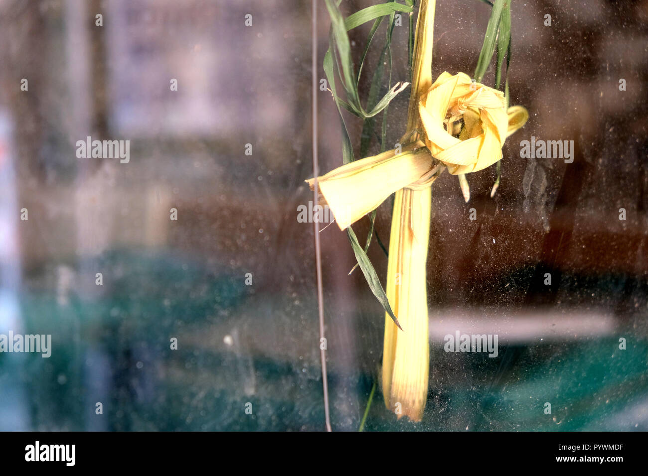 Fiore in al di fuori di un palm frond appeso sul lato interno di una porta di vetro in un edificio abbandonato; visto dalla strada / marciapiede. Foto Stock