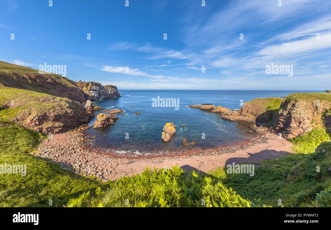 Caletta rocciosa a St Abbs Head seascape, Scozia. Regno Unito Foto Stock