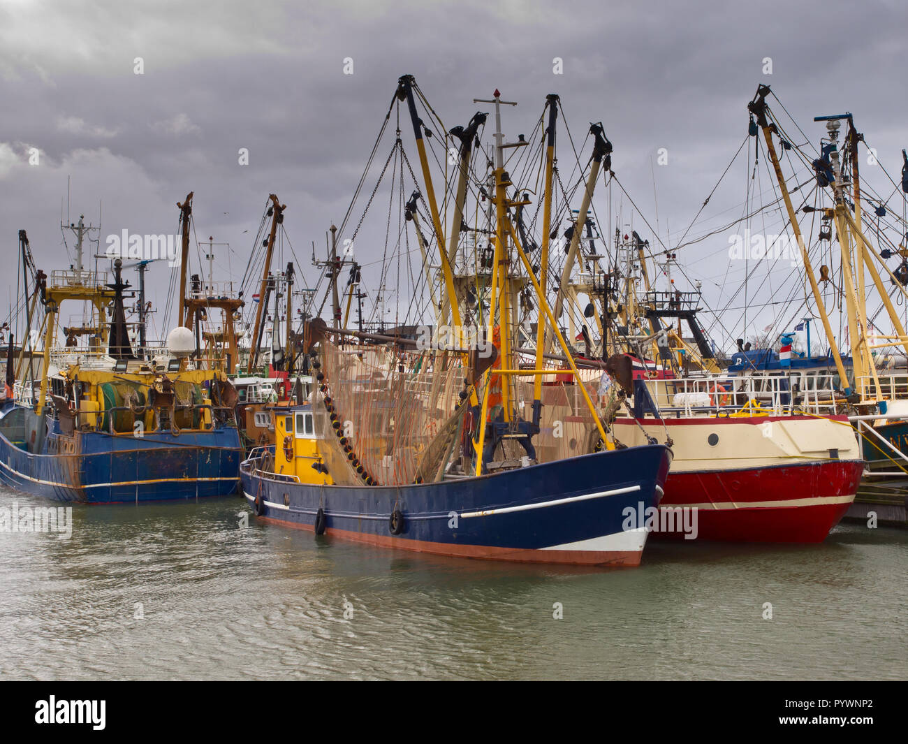 Flotta da pesca olandese del porto di pesca di Lauwersoog Foto Stock