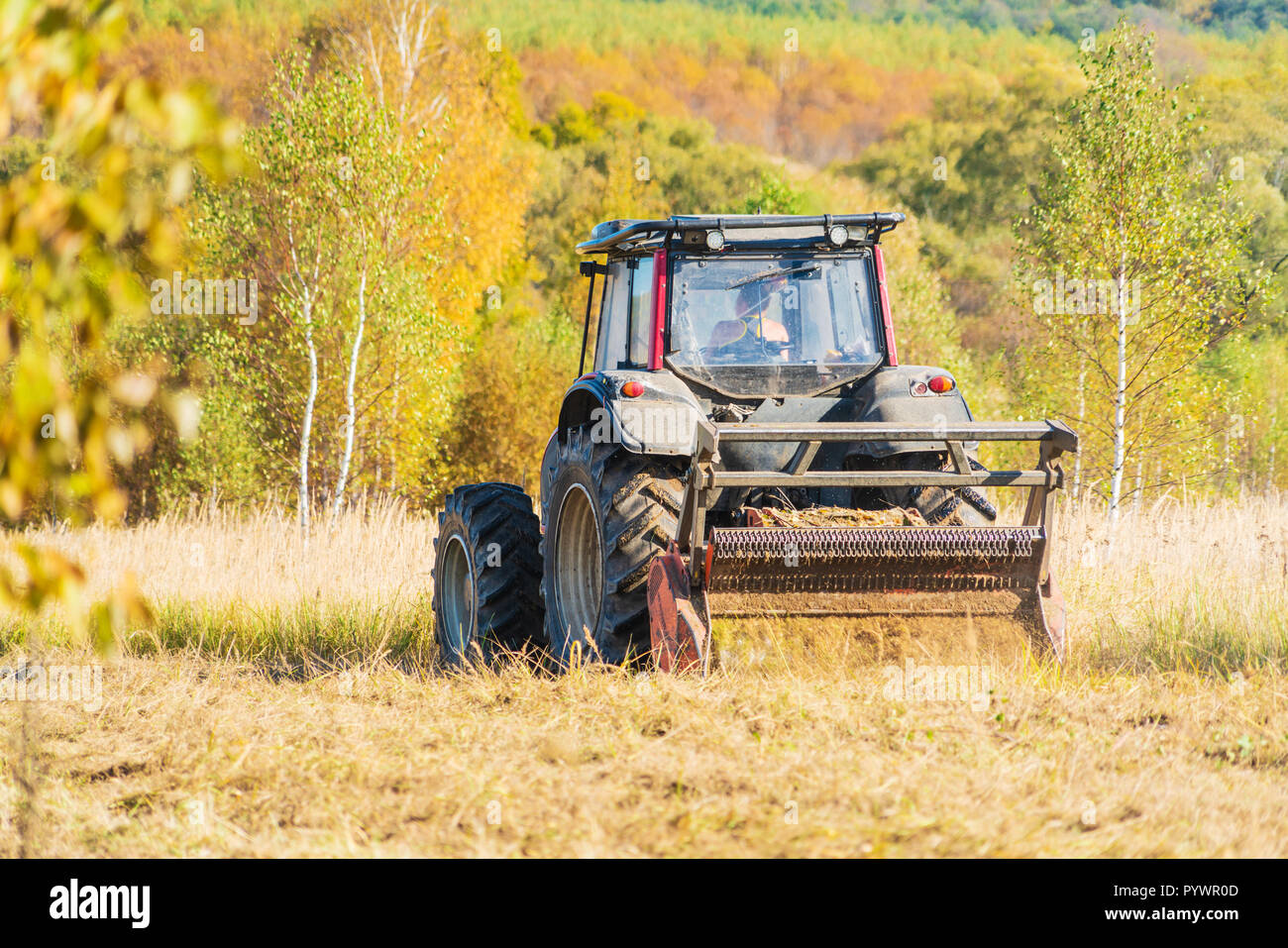 Autunno campo rurale con un trattore rosso che mows erba secca, Russia Foto Stock
