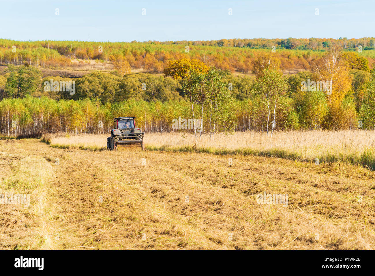 Autunno campo rurale con un trattore rosso che mows erba secca, Russia Foto Stock
