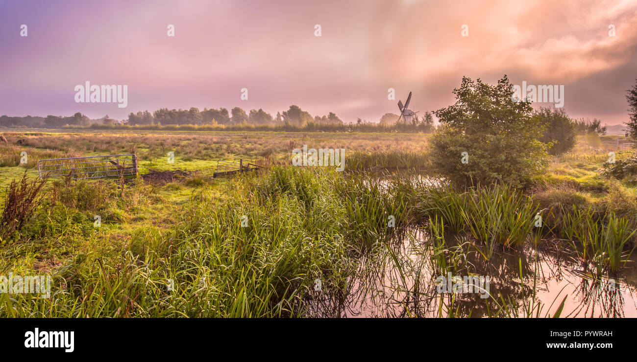Swamp paesaggio fluviale con viaggiare veloce nuvole in early rising sole al mattino Foto Stock