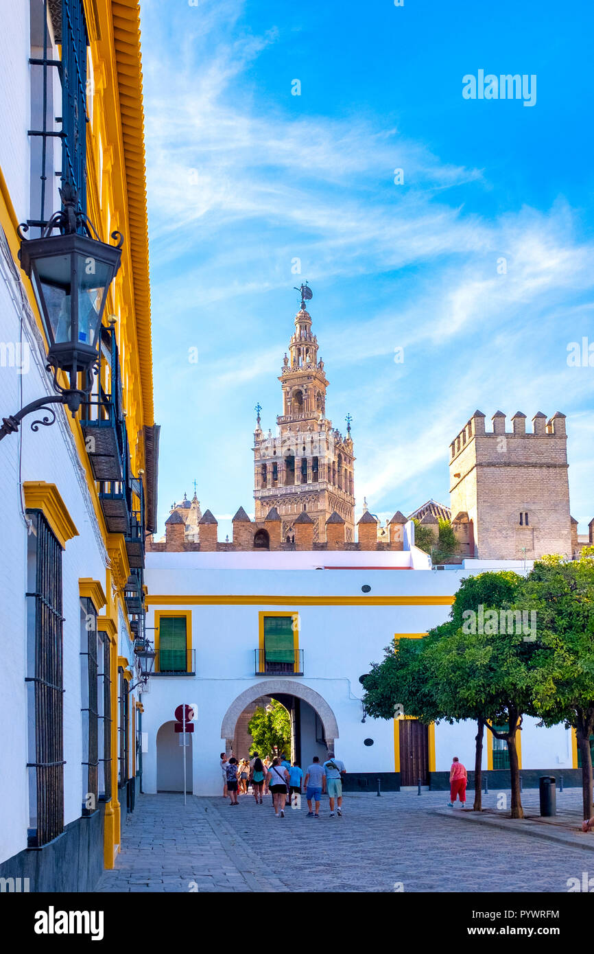 Torre Giralda dal Patio de Banderas nella Royal Alcazar, Siviglia, Spagna Foto Stock