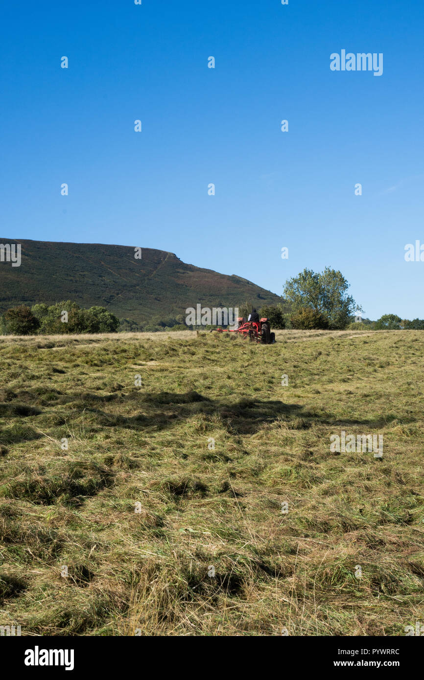 Fienagione vicino Offas Dyke Herefordshire UK 2018 con trattore vintage Foto Stock