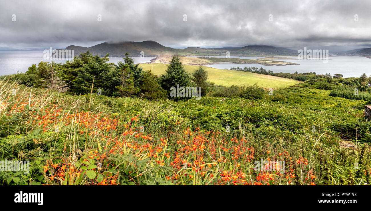 Viste intorno all'Anello di Kerry, Valentia Island, Irlanda, Europa Foto Stock