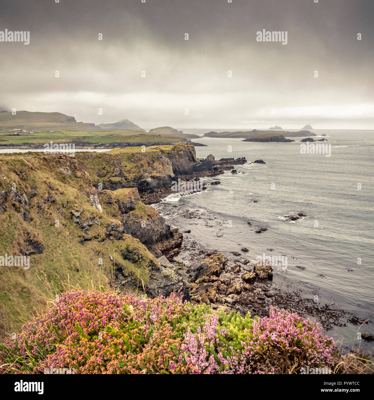 Viste intorno all'Anello di Kerry, Valentia Island, Irlanda, Europa Foto Stock
