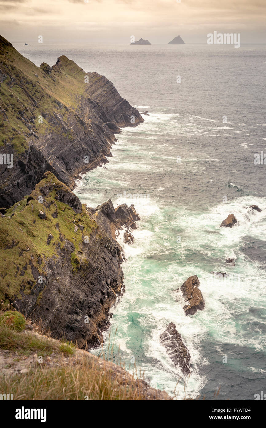 Viste le scogliere di Kerry, Portmagee, Ring of Kerry, Irlanda, Europa Foto Stock