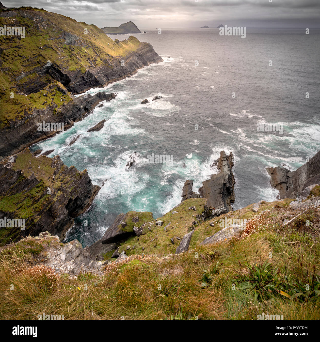 Viste le scogliere di Kerry, Portmagee, Ring of Kerry, Irlanda, Europa Foto Stock