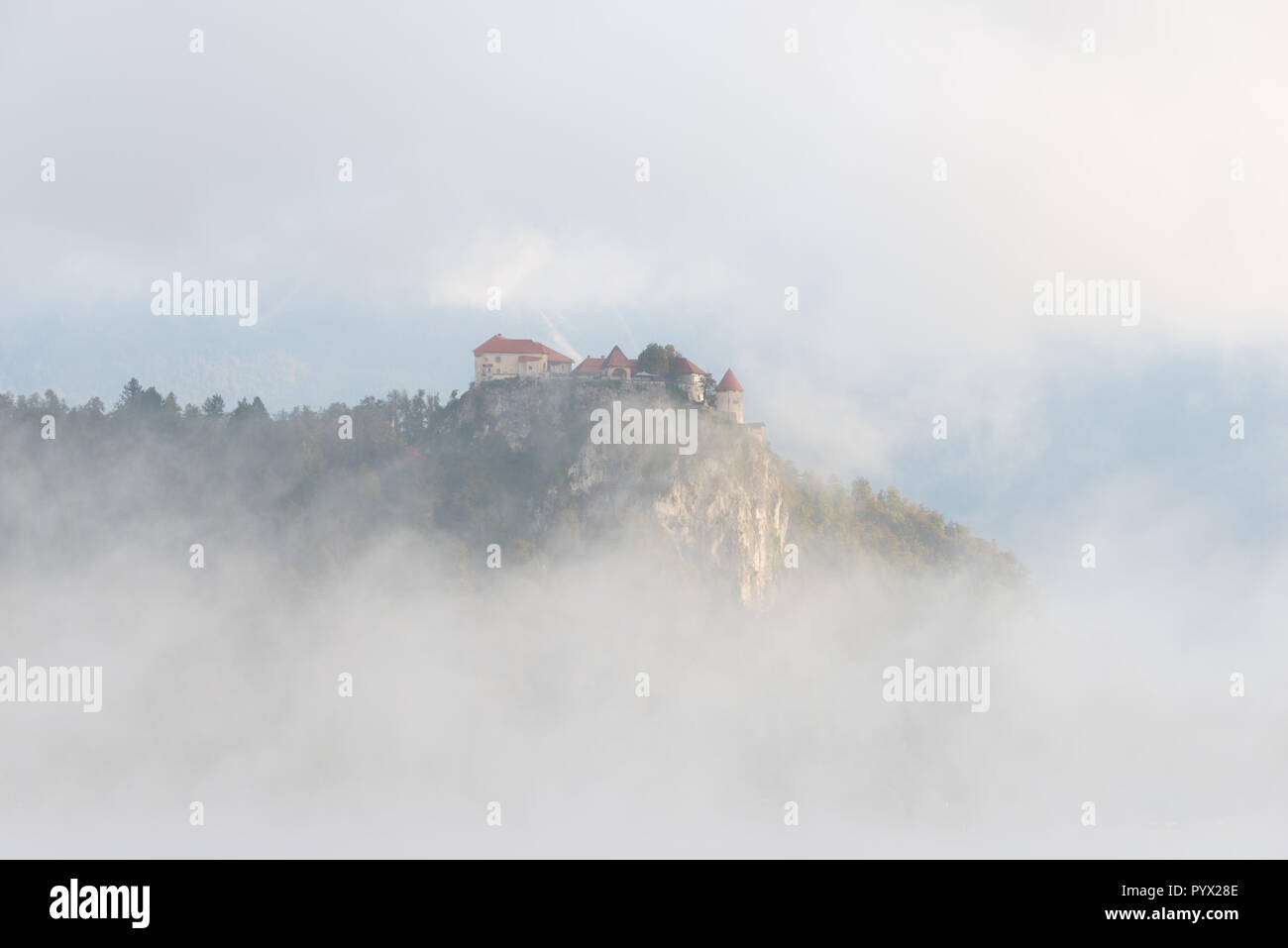 Il castello di Bled su una scogliera che si affaccia sul lago di Bled circondato da nuvole e terra della nebbia creando l'illusione che è costruito nel cielo in Slovenia. Foto Stock