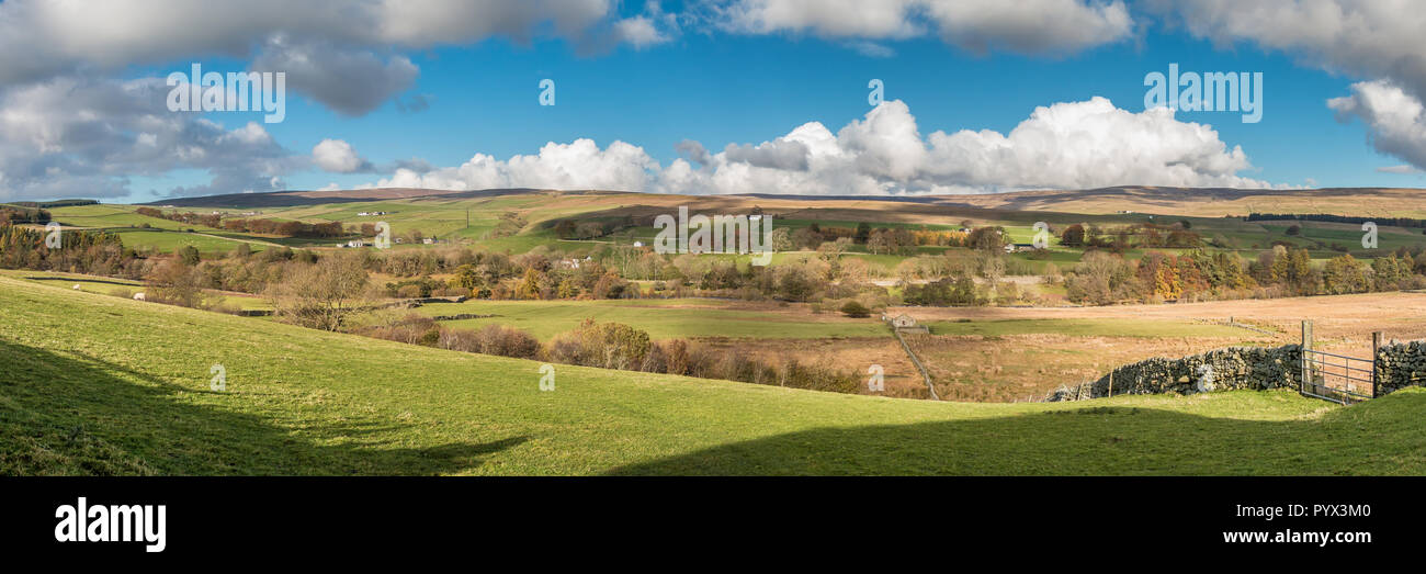 North Pennines AONB paesaggio panoramico, Ettersgill, Teesdale dalla protezione House Foto Stock