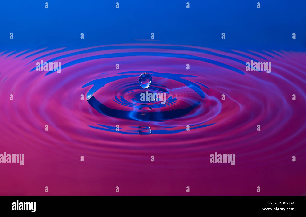 Primo piano gocciolina d'acqua gocciolante creando ondulazione effetto cerchi concentrici nella superficie dell'acqua. Riflessi di luce rosa e blu. Schizzi di liquidi astratti. Foto Stock