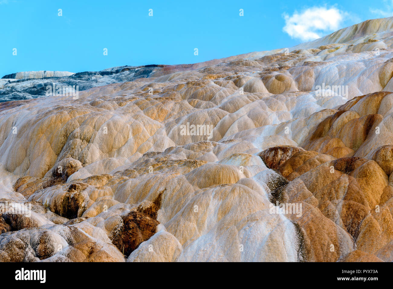 Terrazza di montagna, il calcare e le formazioni rocciose a Mammoth Hot Springs nel Parco Nazionale di Yellowstone, Wyoming USA Foto Stock