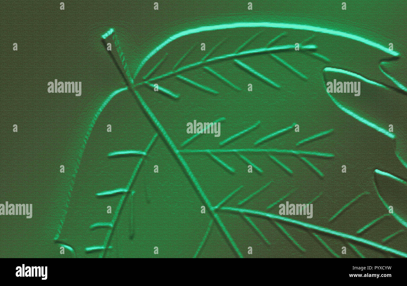 Autumn Leaf carta goffrata Design per il vostro prossimo progetto. Foto Stock