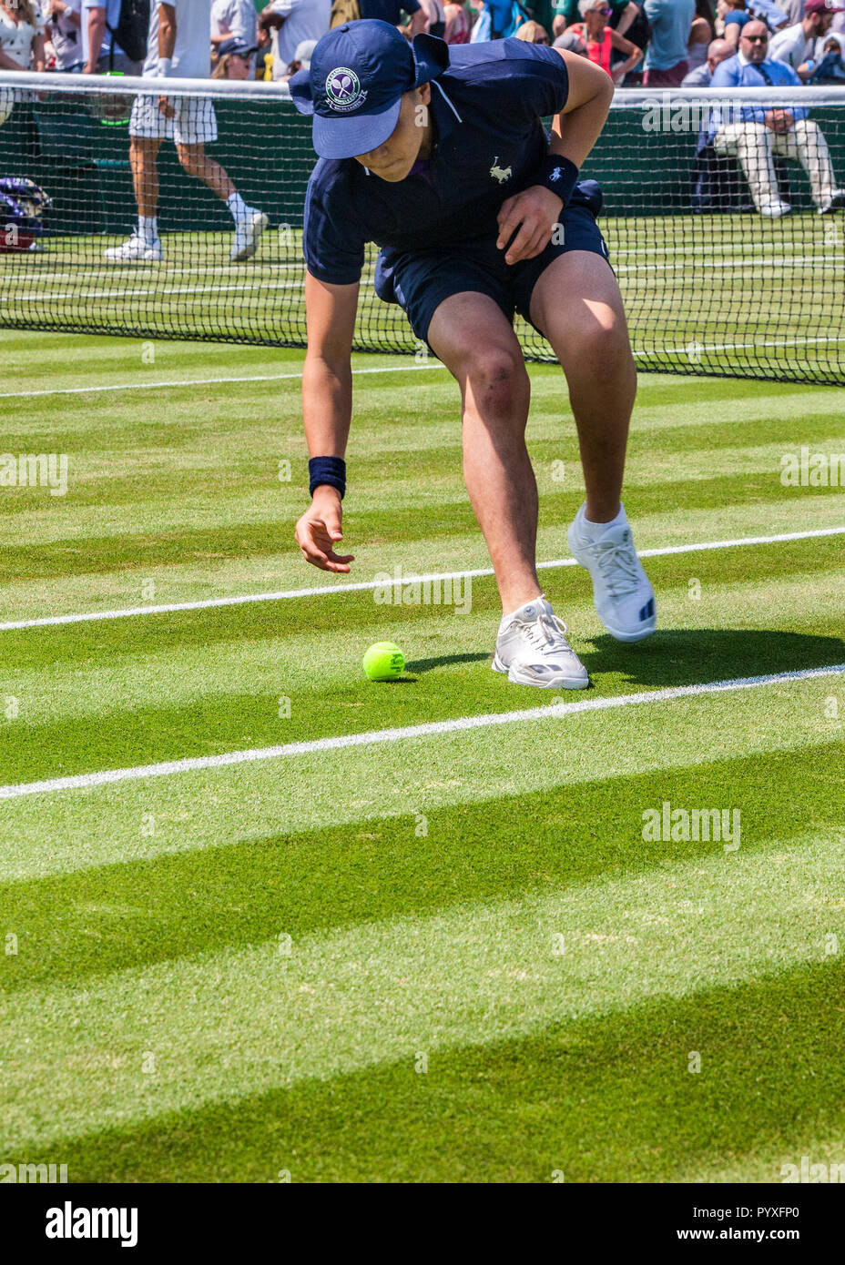 Palla ragazzo si china a prelevare palla da tennis su corte di tennis di Wimbledon chapionship Foto Stock