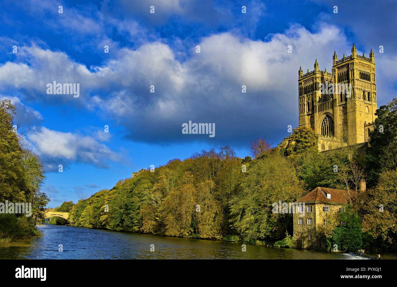 Preso dalla riva del fiume, guardando verso l'alto, per catturare il spettacolo spirituale della Cattedrale di Durham. Foto Stock