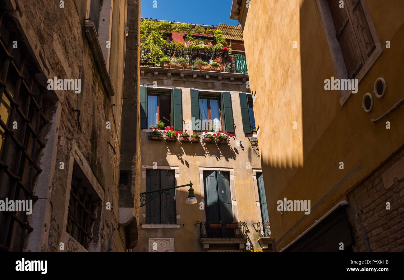 In passaggi stretti e scorci di windowbox giardini e sky a Venezia, Italia Foto Stock