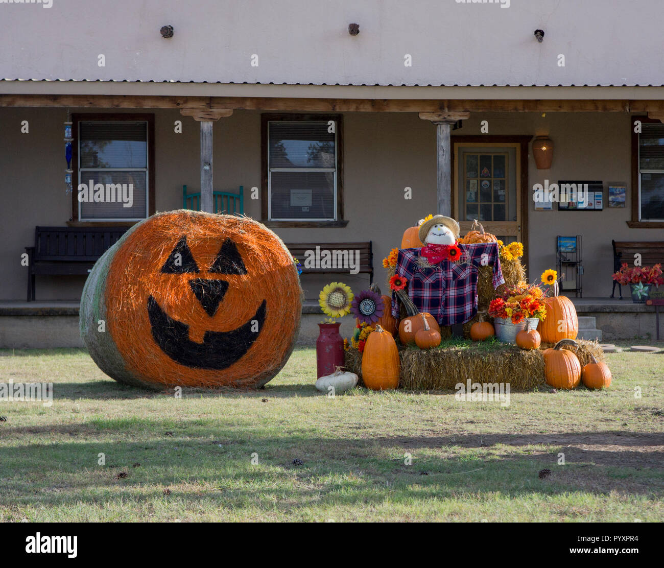 Decorazioni di Halloween di fronte al Centro Visitatori in Alpine, Texas. Foto Stock