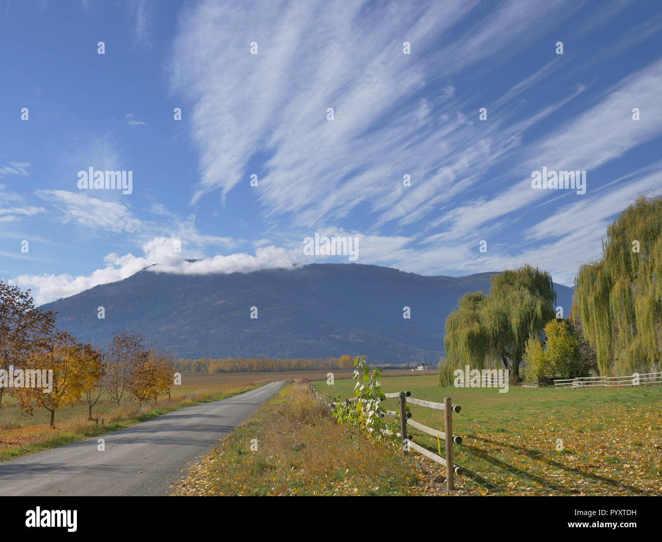 Bellissimo paesaggio autunnale della Columbia Britannica Foto Stock