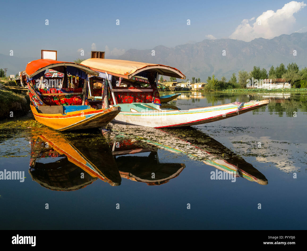 Confortevole shikaras sono famose per un rilassato bootride su dal lago Foto Stock
