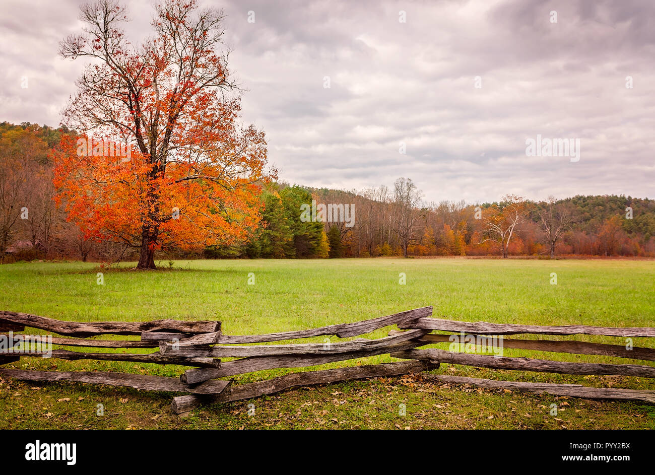 Caduta delle Foglie aggiunge spruzzi di colore a Cades Cove, nov. 2, 2017, al Parco Nazionale di Great Smoky Mountains nel Tennessee. Foto Stock