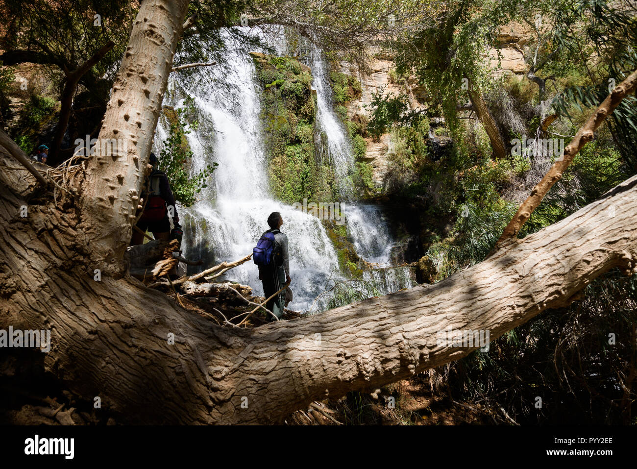 Thunder River, Grand Canyon National Park, Stati Uniti. Foto Stock