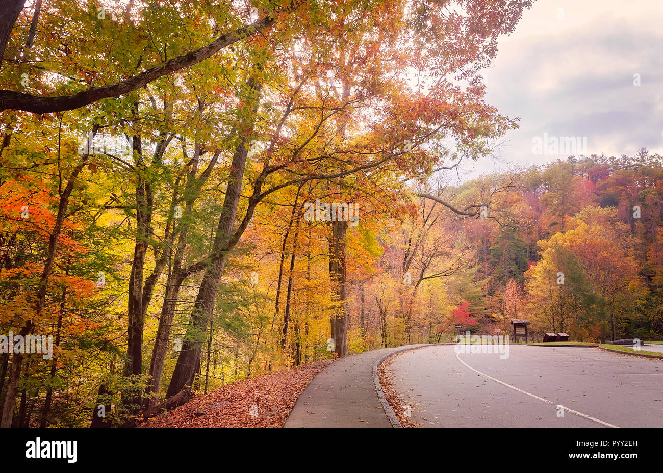 Caduta delle Foglie aggiunge spruzzi di colore a Cades Cove, nov. 2, 2017, al Parco Nazionale di Great Smoky Mountains nel Tennessee. Foto Stock
