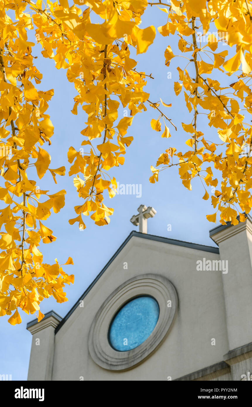 Annunciazione chiesa cattolica è incorniciato da foglie di giallo da un vicino il ginkgo biloba tree, Novembre 13, 2011, in Columbus, Mississippi. Foto Stock