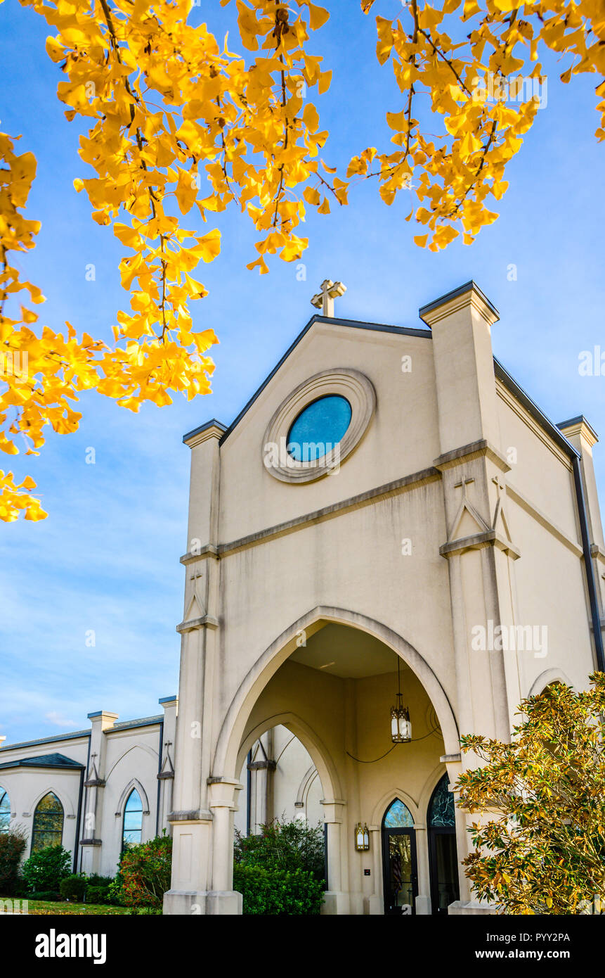 Annunciazione chiesa cattolica è incorniciato da foglie di giallo da un vicino il ginkgo biloba tree, Novembre 13, 2011, in Columbus, Mississippi. Foto Stock