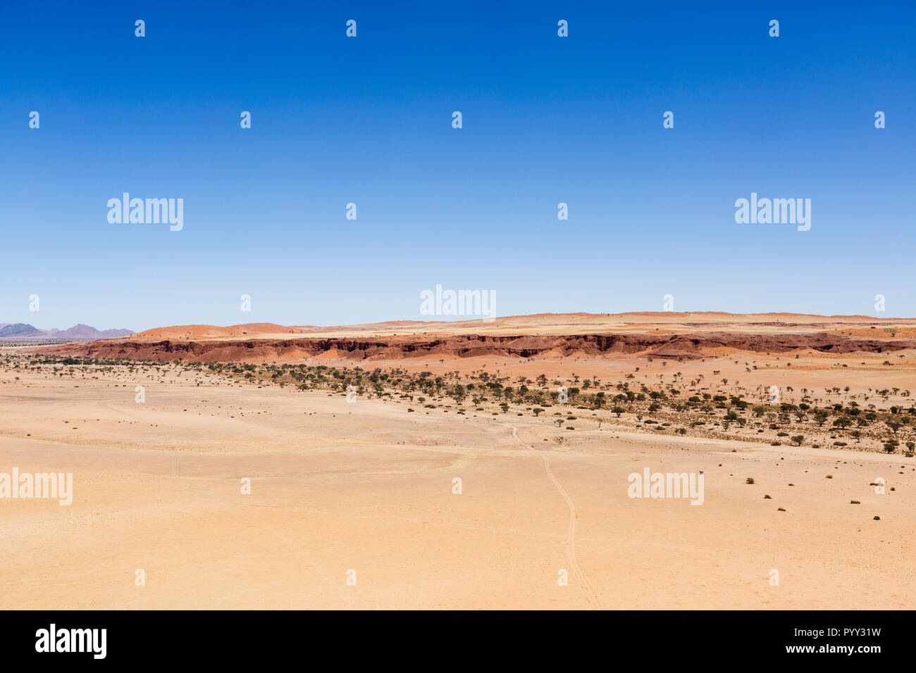 Vista aerea, pietrificate dune, Namib Desert Lodge Namib Desert, Namib Naukluft National Park, Namibia Foto Stock