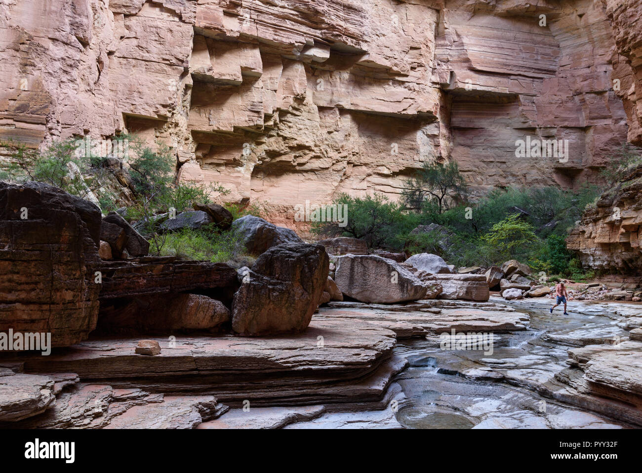 Il rafting, il Grand Canyon del Fiume Colorado, Arizona, Stati Uniti. Lungo Havasu Creek. Foto Stock