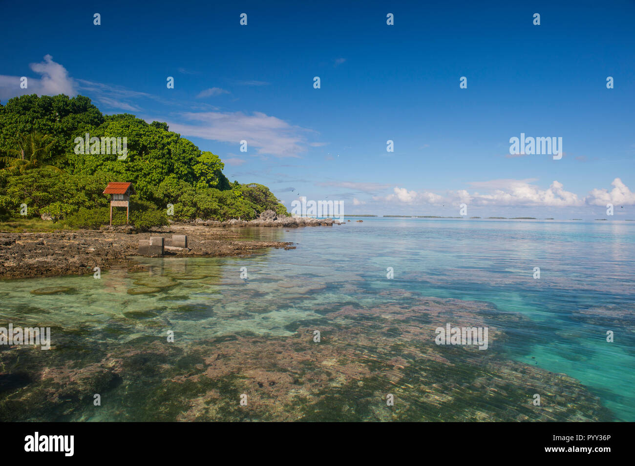 Acque chiare su Bird Island, Tikehau, Arcipelago Tuamotu, Polinesia Francese Foto Stock