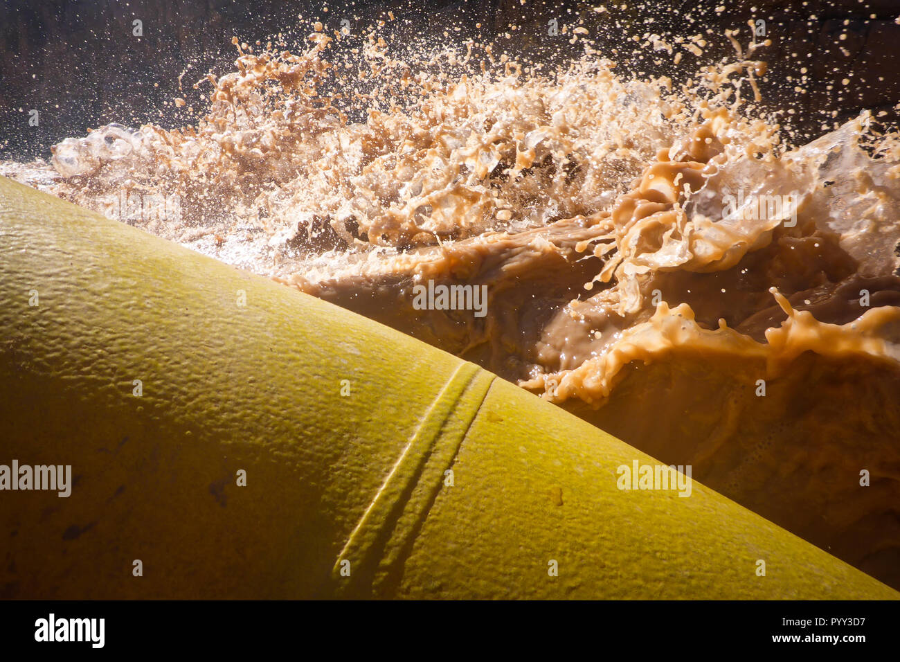 Il rafting, il Grand Canyon del Fiume Colorado, Arizona, Stati Uniti. Zattera a remi. Foto Stock